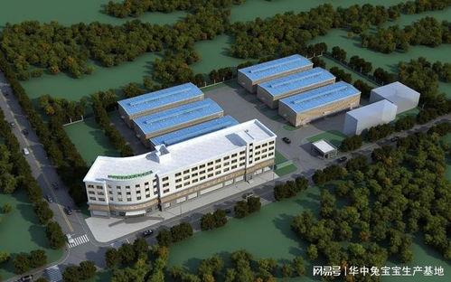 華中定制家具工廠oem招商批發(fā)代加工 華中兔寶寶生產基地