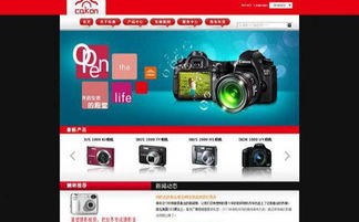 福州高端企業(yè)商城網(wǎng)站建設(shè) 定制開發(fā)一站式服務